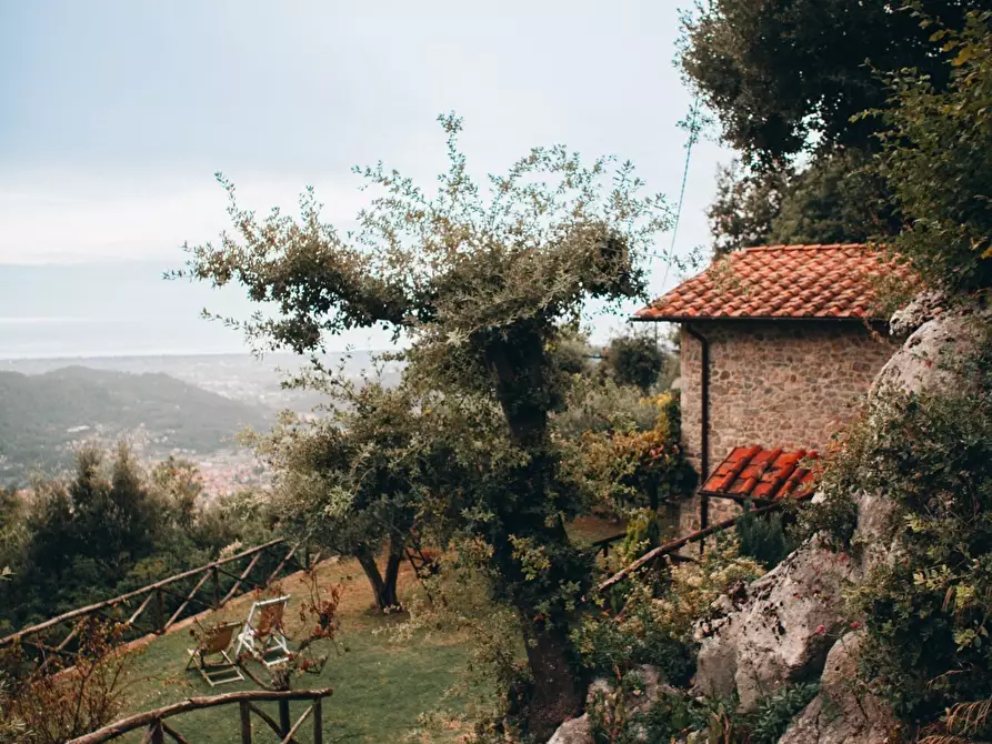 Immagine 44 di Rustico / casale in affitto  a Camaiore