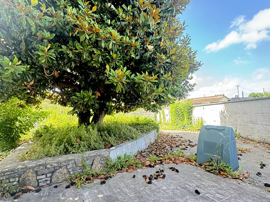 Immagine 6 di Porzione di casa in vendita  a Pietrasanta