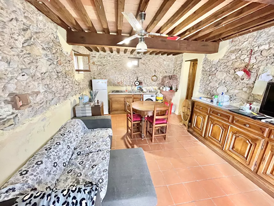 Immagine 60 di Rustico / casale in vendita  a Camaiore