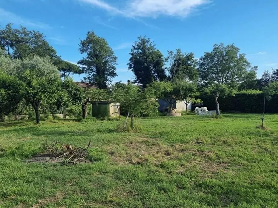 Immagine 3 di Terreno agricolo in vendita  a Pietrasanta