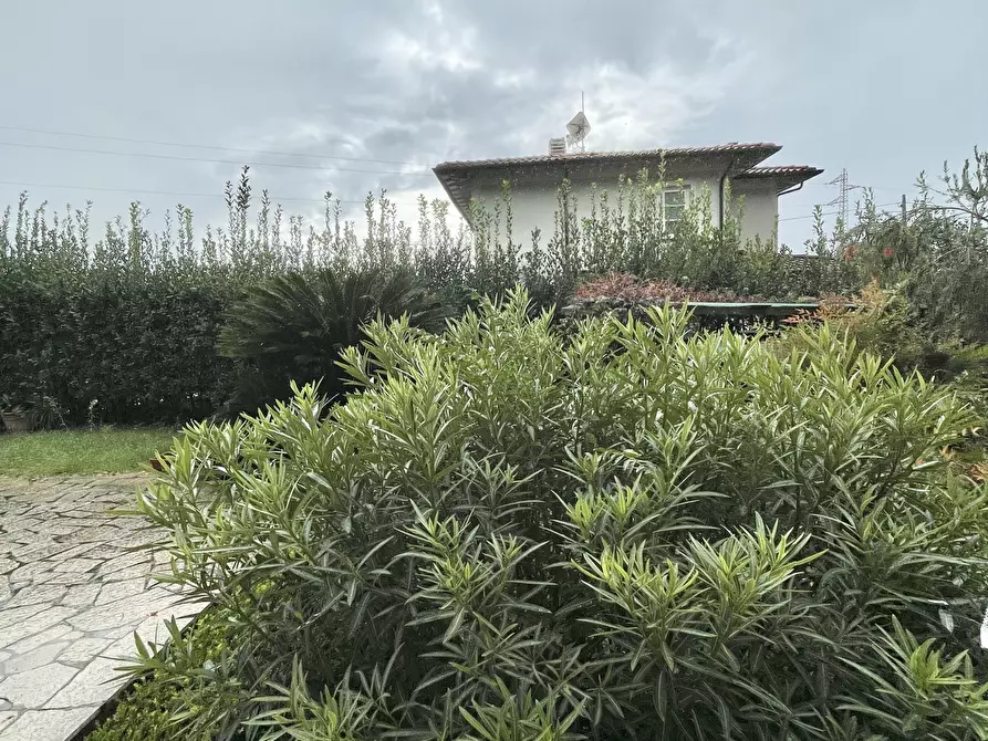 Immagine 52 di Casa indipendente in vendita  a Seravezza