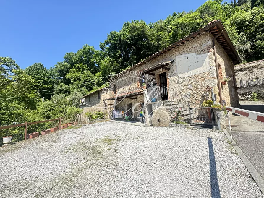 Immagine 3 di Rustico / casale in vendita  a Camaiore