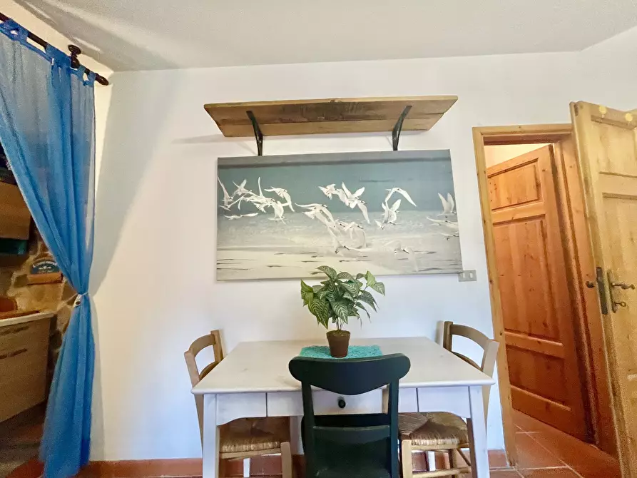 Immagine 61 di Porzione di casa in vendita  a Massarosa