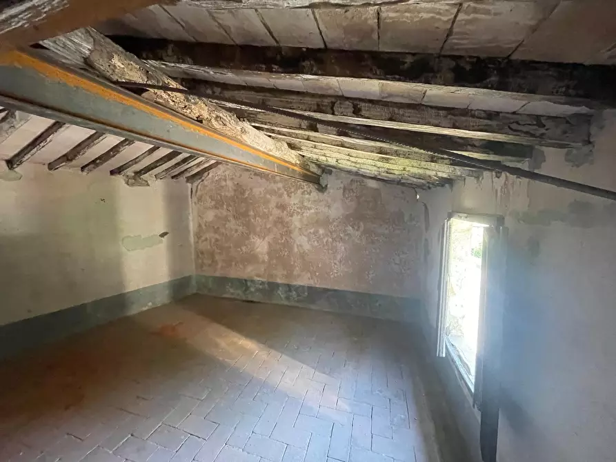 Immagine 37 di Rustico / casale in vendita  a Camaiore