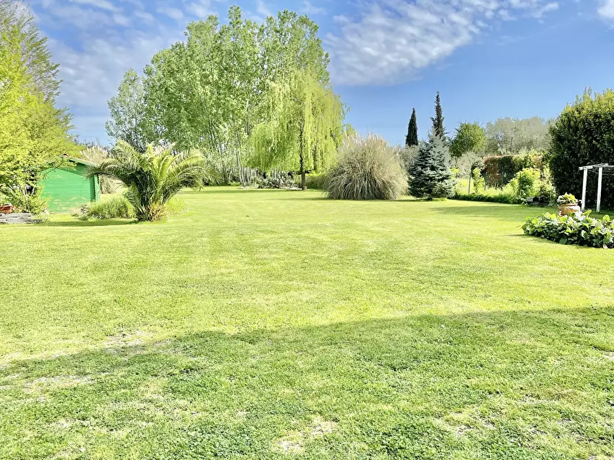 Immagine 4 di Rustico / casale in vendita  a Camaiore