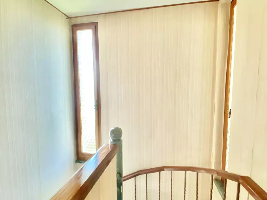 Immagine 62 di Casa indipendente in vendita  a Seravezza