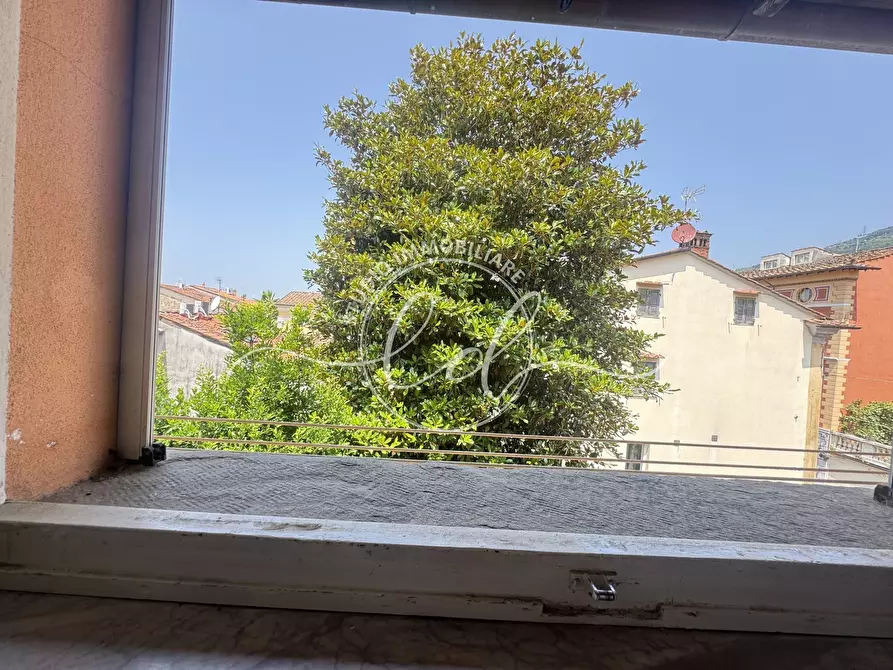 Immagine 20 di Trilocale in affitto  a Pietrasanta