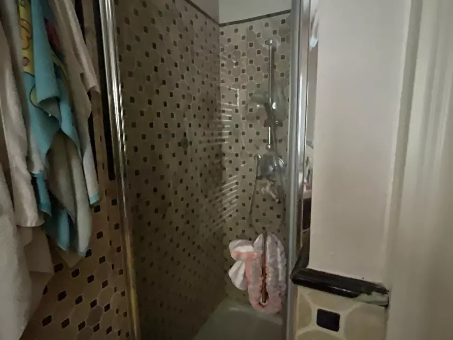 Immagine 50 di Villa in vendita  a Pietrasanta