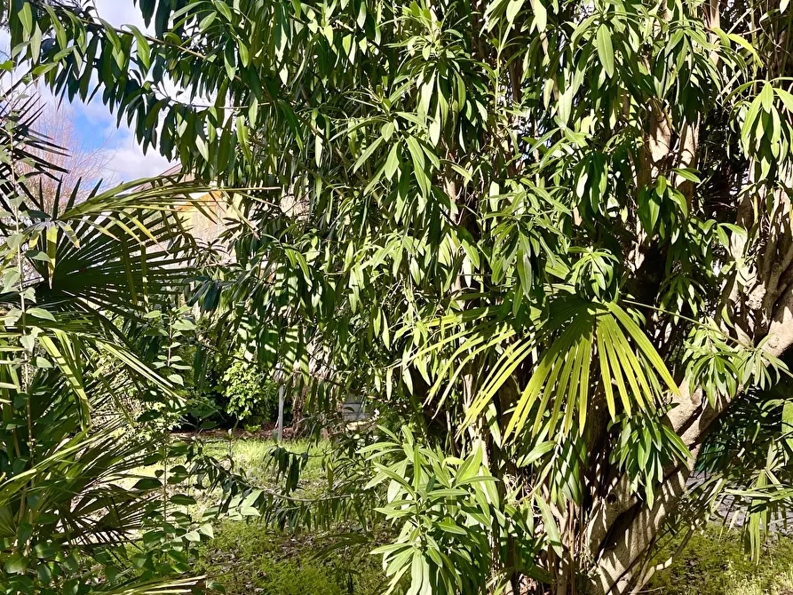 Immagine 26 di Quadrilocale in vendita  a Pietrasanta