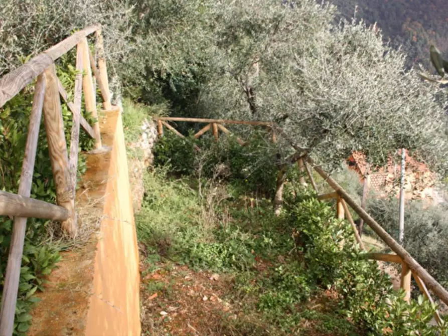 Immagine 4 di Villa in vendita  a Pietrasanta