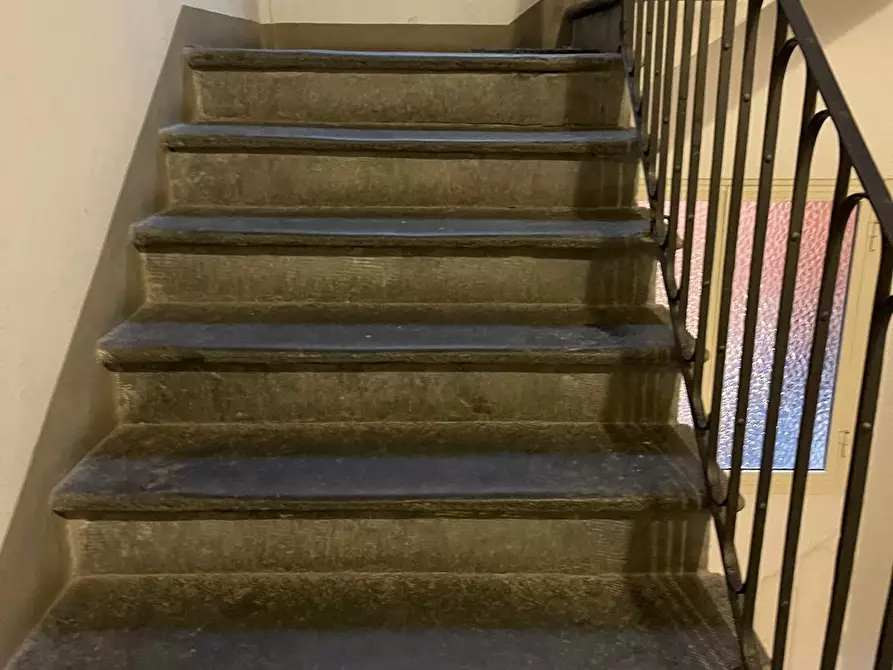 Immagine 43 di Mansarda in affitto  a Pietrasanta