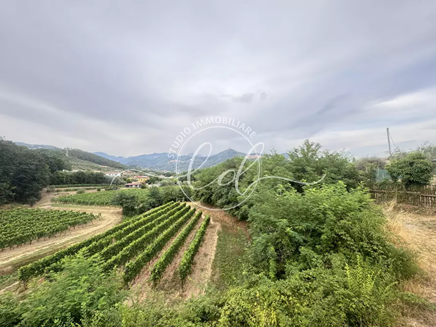 Immagine 22 di Terreno edificabile in vendita  a Ortonovo