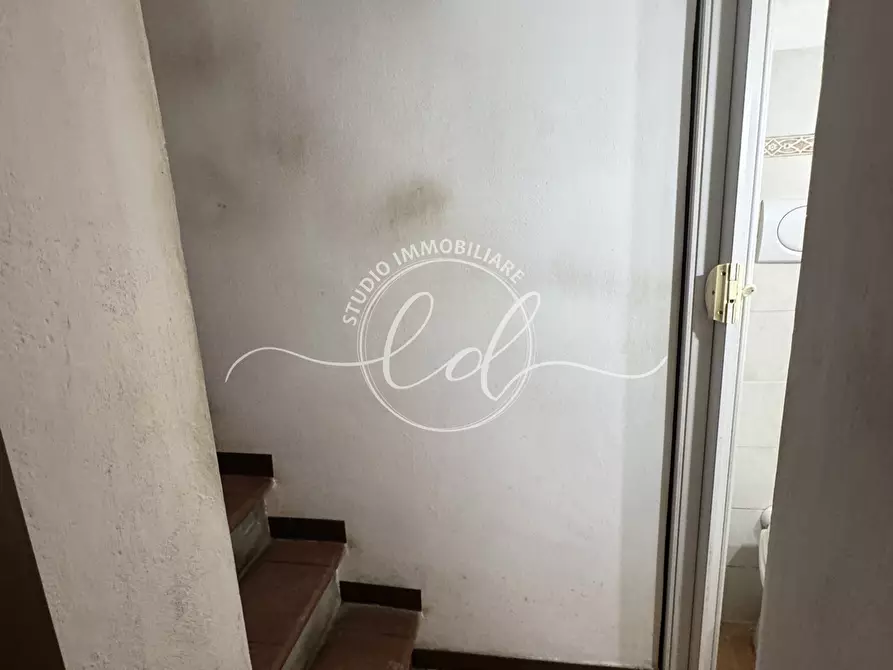 Immagine 13 di Terratetto in vendita  a Camaiore