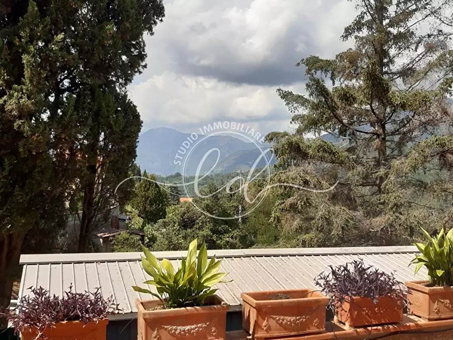 Immagine 13 di Casa indipendente in vendita  a Massarosa