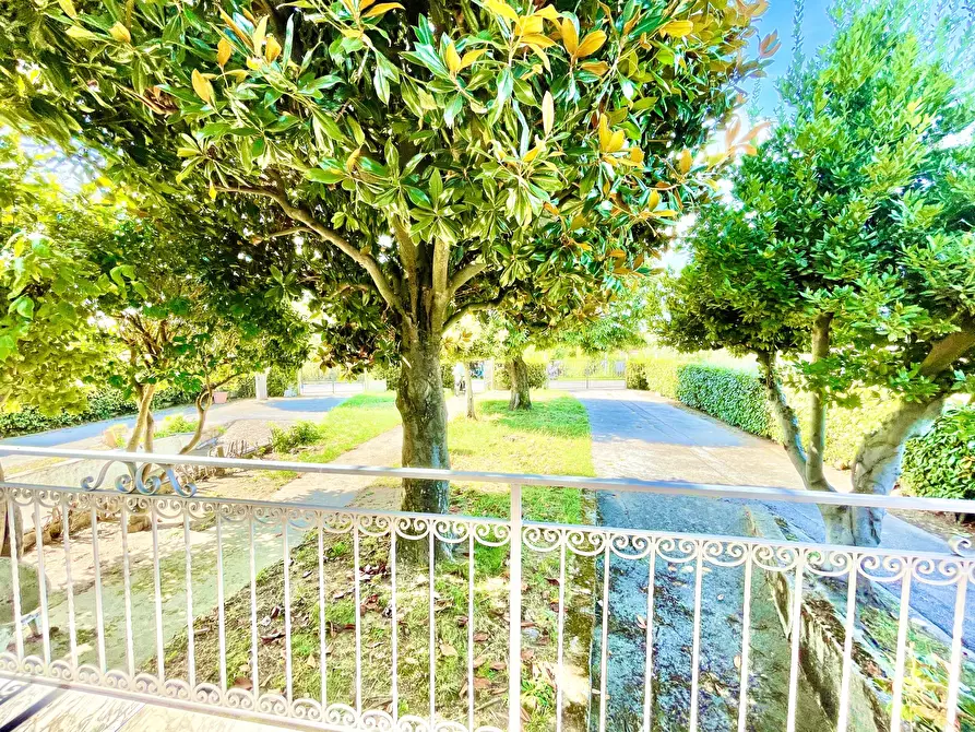 Immagine 22 di Villa in vendita  a Pietrasanta