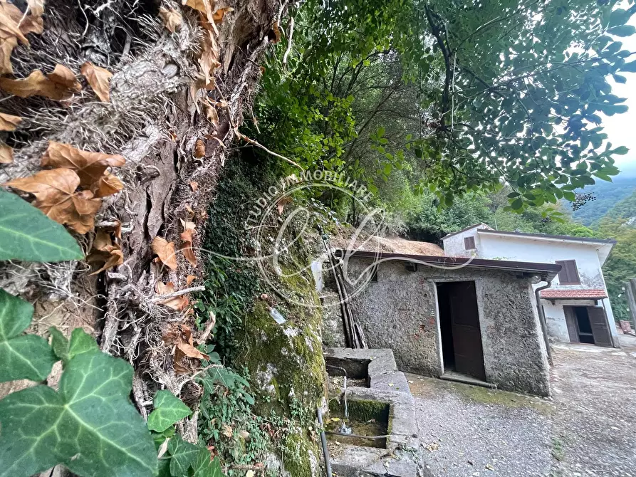 Immagine 2 di Porzione di casa in vendita  a Camaiore