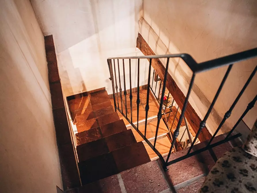 Immagine 20 di Rustico / casale in affitto  a Camaiore