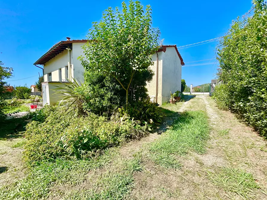 Immagine 3 di Casa indipendente in vendita  a Pietrasanta