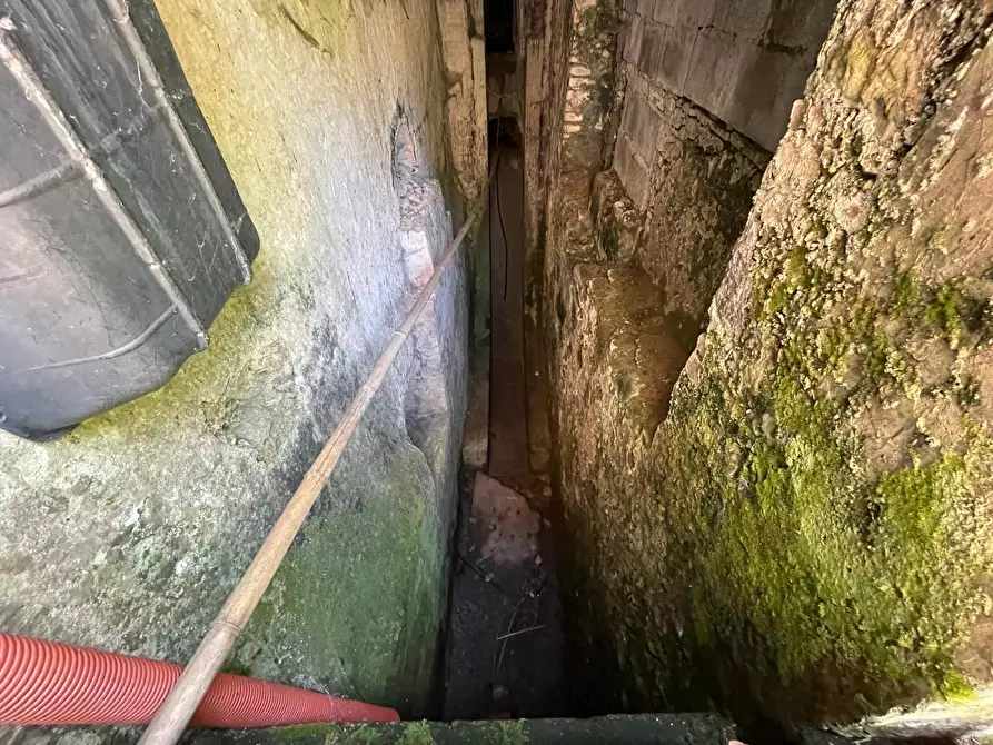 Immagine 53 di Rustico / casale in vendita  a Camaiore