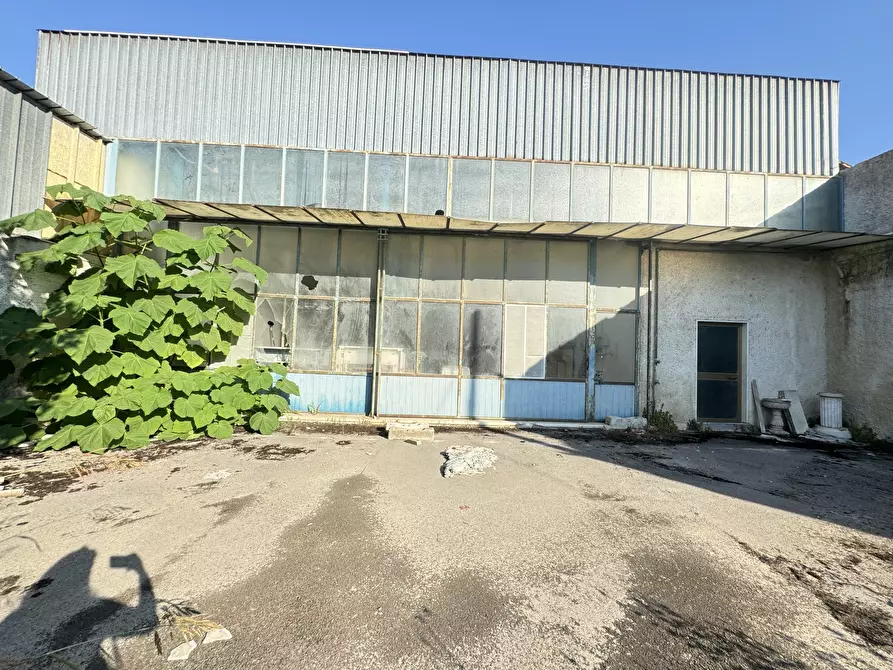 Immagine 1 di Capannone industriale in vendita  a Pietrasanta