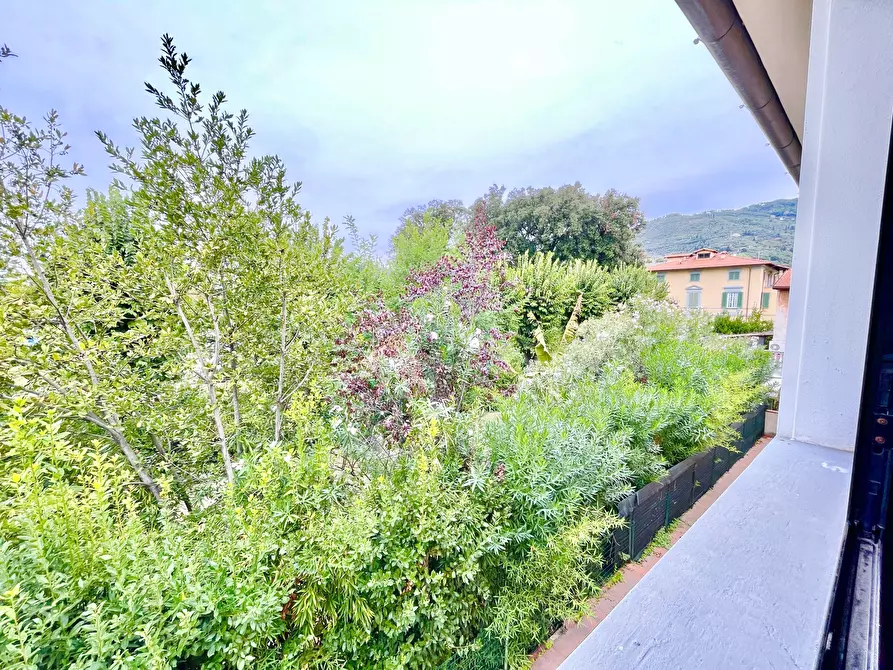 Immagine 9 di Porzione di casa in vendita  a Pietrasanta