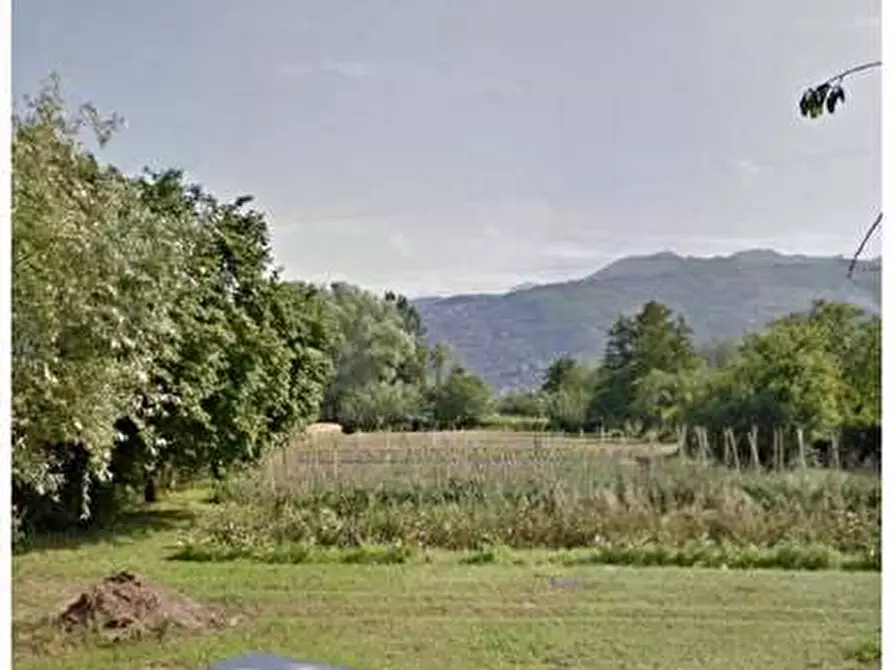 Immagine 1 di Terreno agricolo in vendita  a Pietrasanta