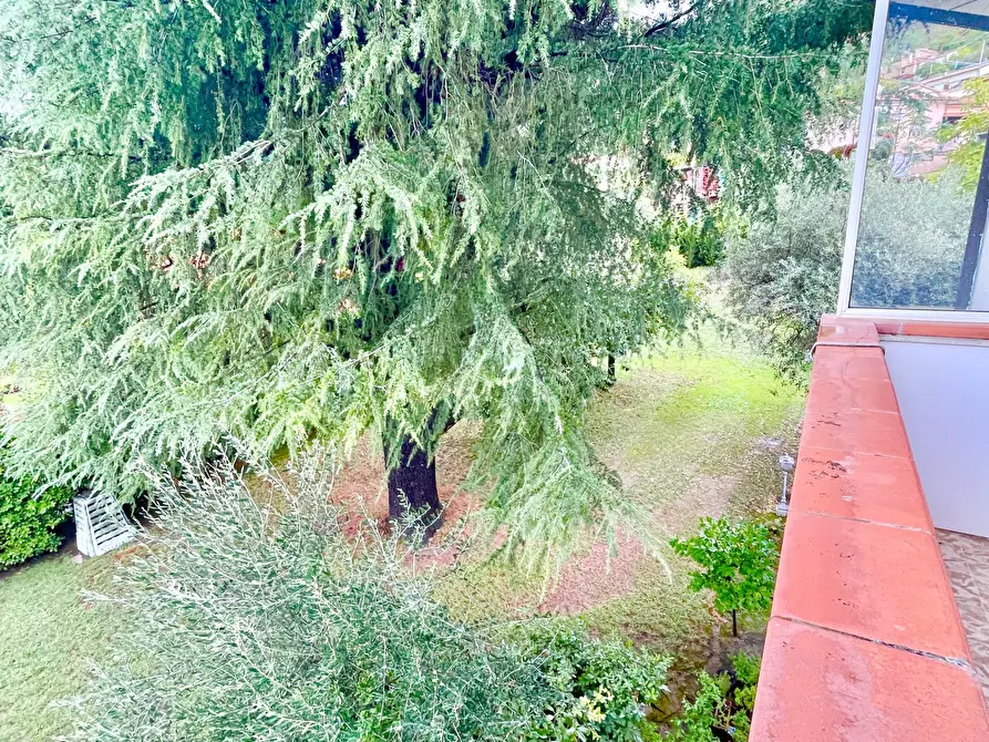 Immagine 19 di Casa indipendente in vendita  a Seravezza