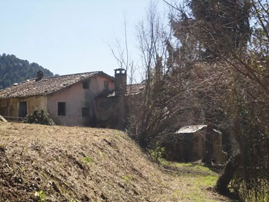 Immagine 7 di Rustico / casale in vendita  a Seravezza