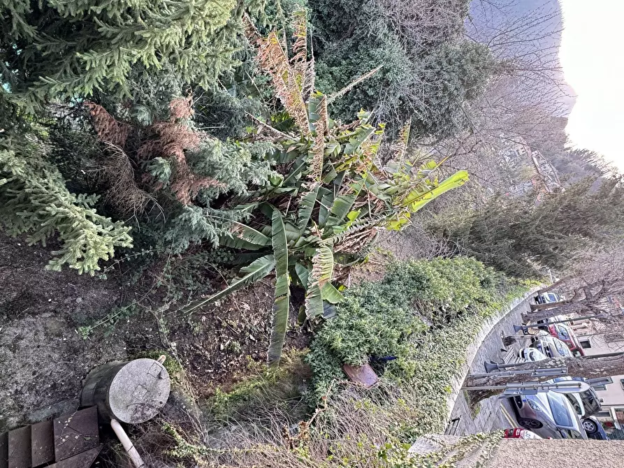 Immagine 20 di Terratetto in vendita  a Stazzema