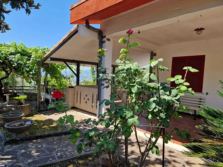Immagine 3 di Villa in vendita  in Contrada Zancati Nuovo a Paliano