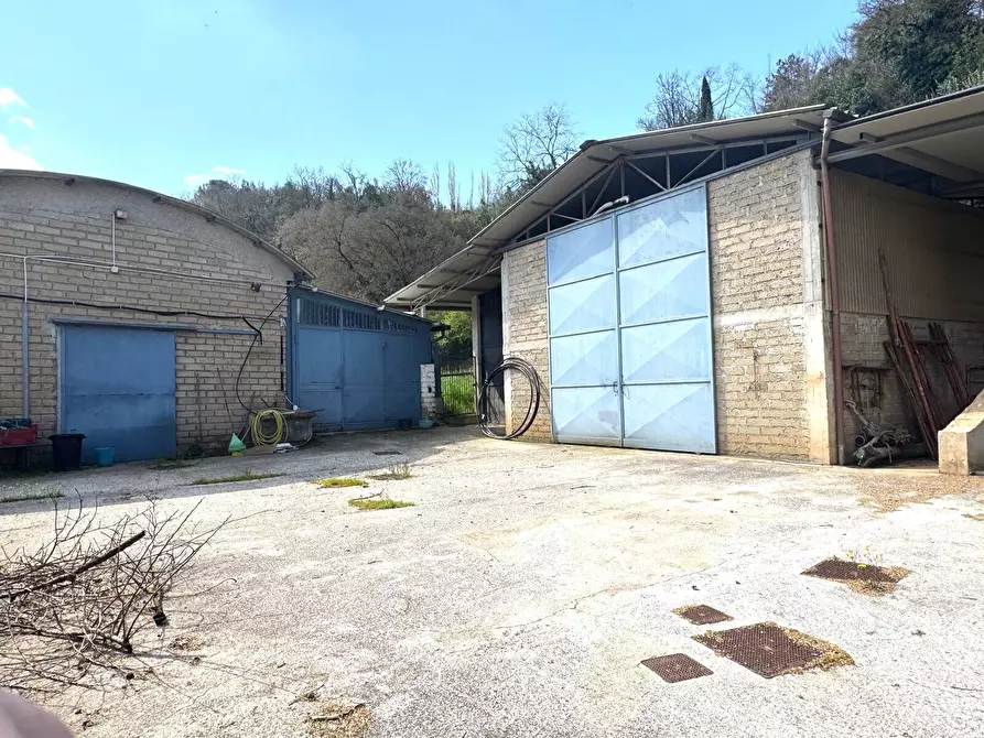 Immagine 7 di Locale commerciale in vendita  in Via Santa Apollaria a Zagarolo