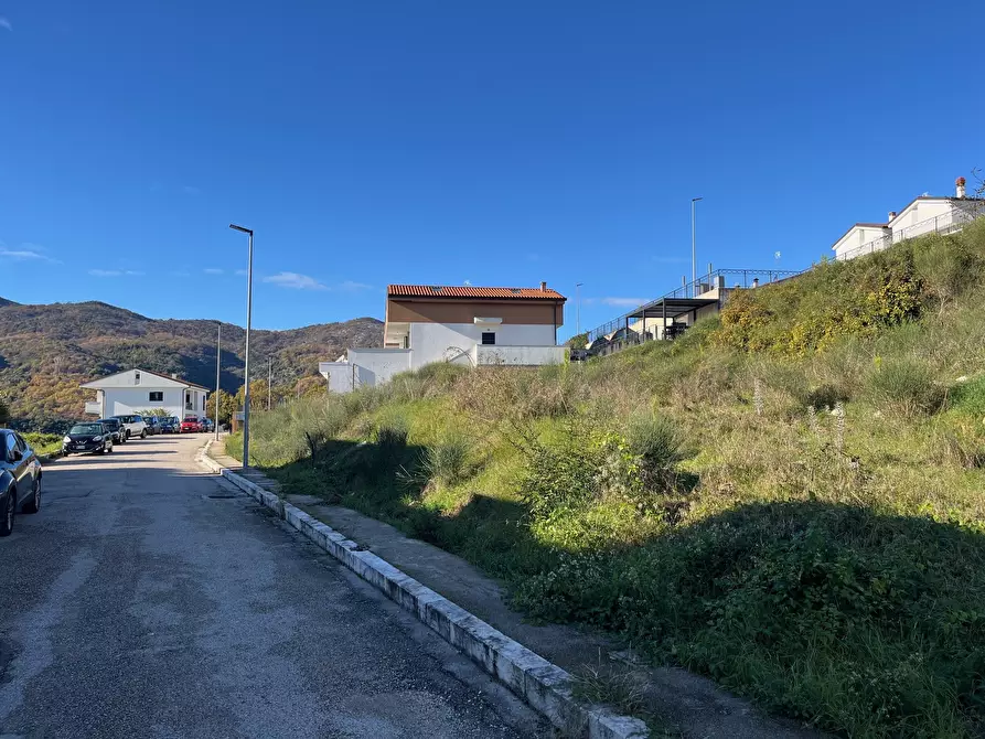 Immagine 12 di Terreno agricolo in vendita  in Via delle Mele a Segni