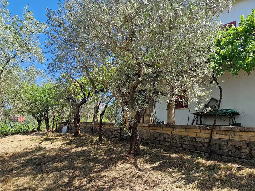 Immagine 4 di Villa in vendita  in Contrada Zancati Nuovo a Paliano