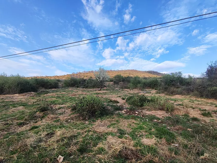 Immagine 4 di Terreno agricolo in vendita  in SP53a 53 a Tivoli