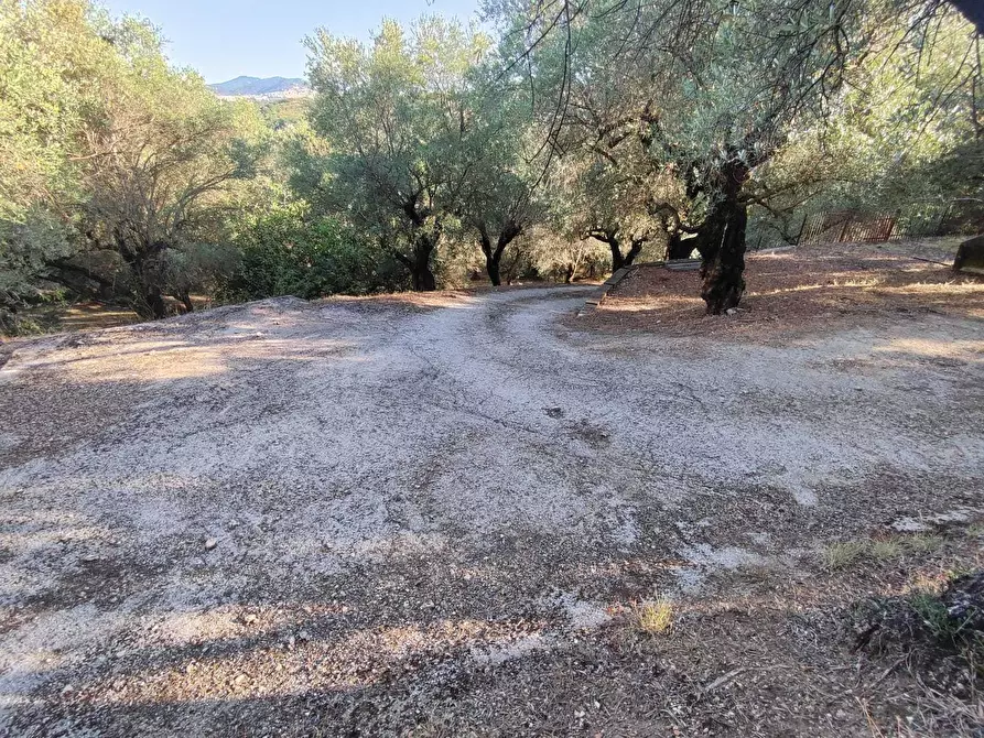 Immagine 23 di Terreno agricolo in vendita  in via caolini a Marcellina