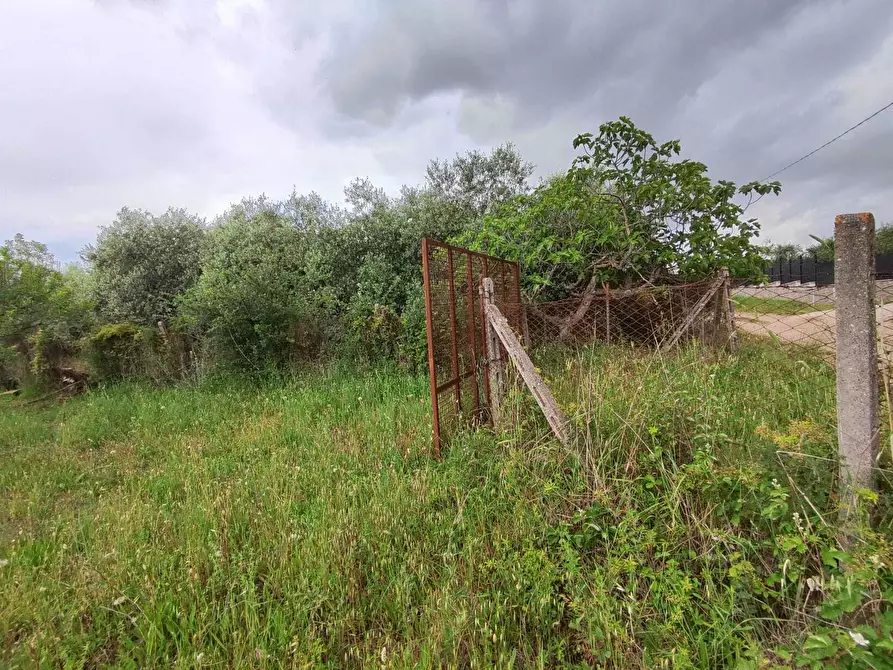 Immagine 2 di Terreno agricolo in vendita  in Via Colle Rosa a Tivoli
