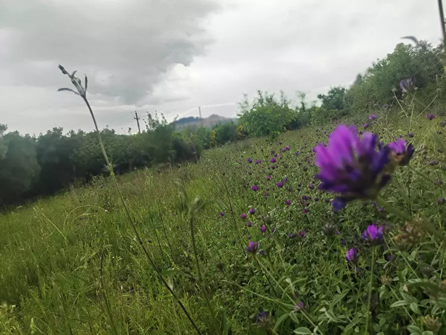 Immagine 1 di Terreno agricolo in vendita  in Via Colle Rosa a Tivoli