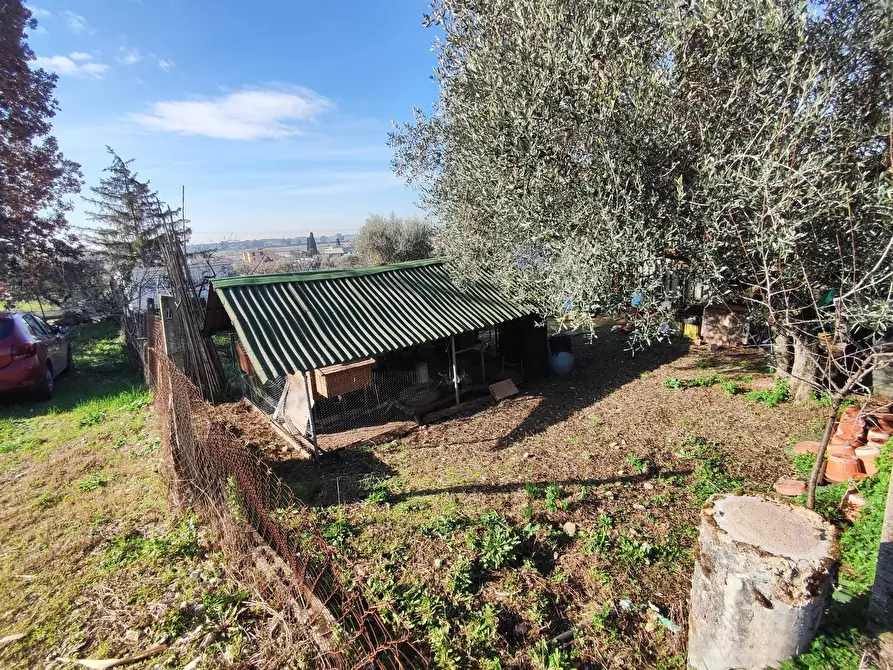 Immagine 18 di Terreno agricolo in vendita  in Via Colle di Mitriano a Guidonia Montecelio