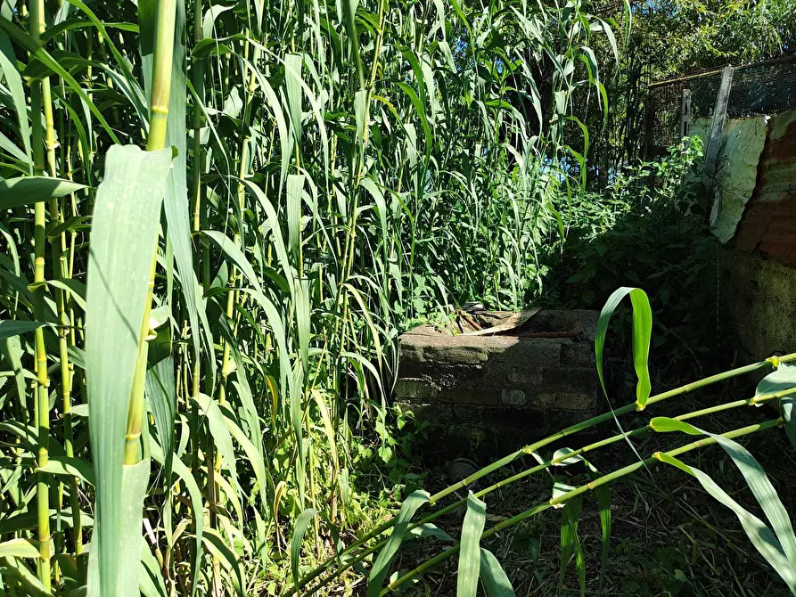 Immagine 10 di Terreno agricolo in vendita  in via colle ponte a Guidonia Montecelio