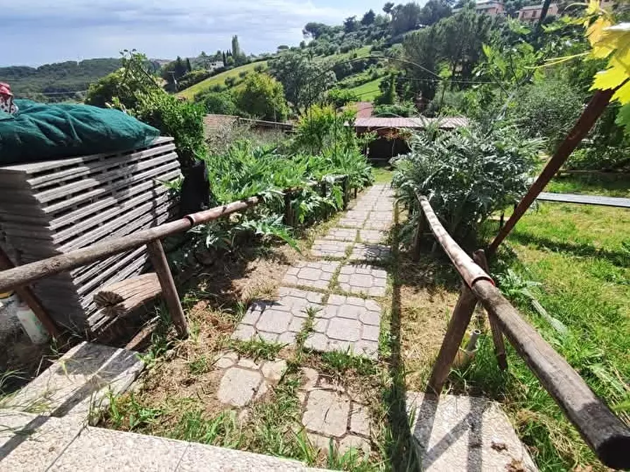 Immagine 12 di Terreno agricolo in vendita  in via monte palombino a Fonte Nuova