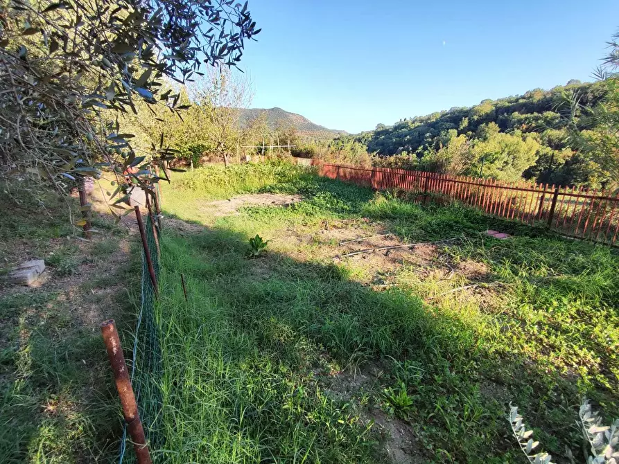 Immagine 3 di Terreno agricolo in vendita  in via caolini a Marcellina