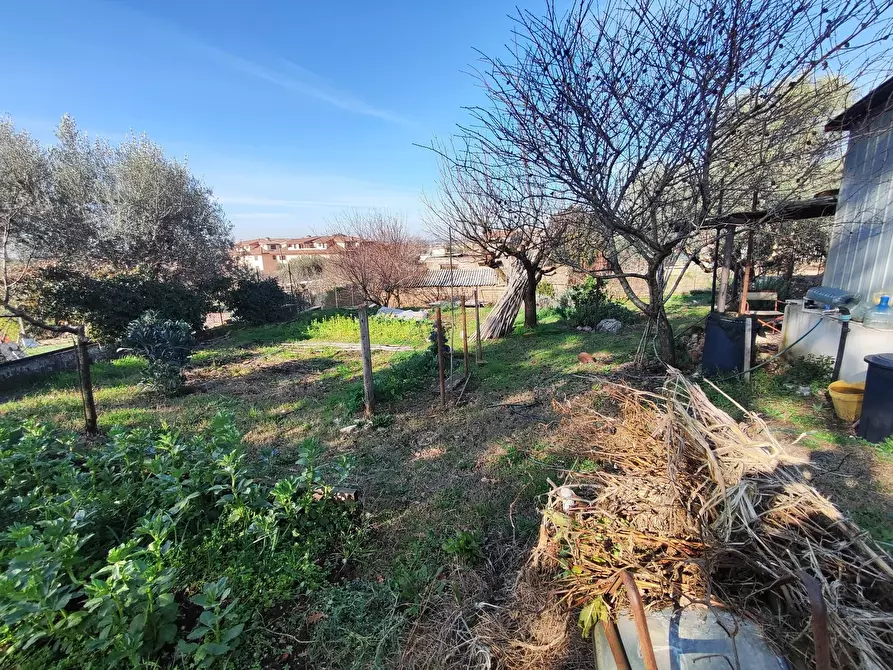 Immagine 5 di Terreno agricolo in vendita  in Via Colle di Mitriano a Guidonia Montecelio
