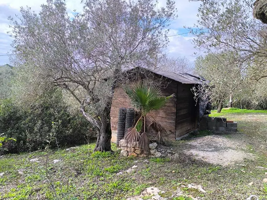 Immagine 35 di Villa in vendita  in Strada Vicinale Li Curuneddi Tronco B a Sassari