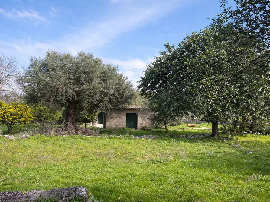 Immagine 4 di Terreno agricolo in vendita  in CONTRADA SABATU' a Canicattini Bagni
