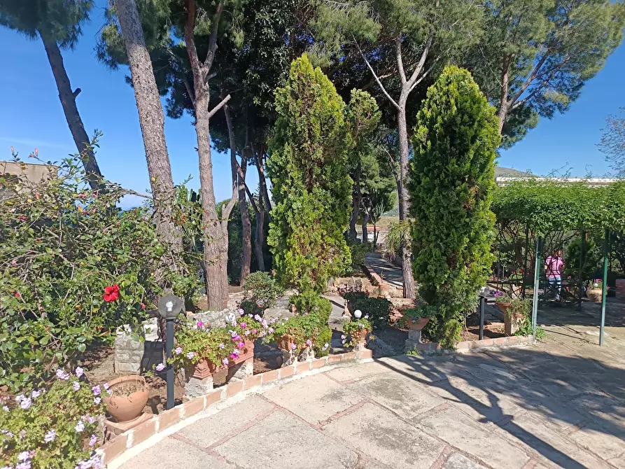 Immagine 87 di Villa in vendita  a Trabia