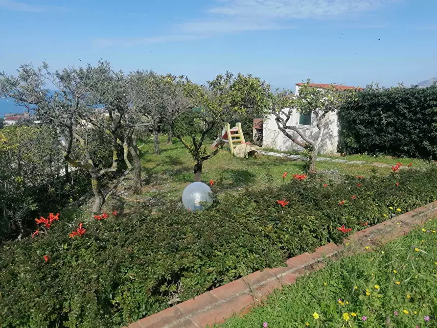 Immagine 15 di Villetta a schiera in vendita  a Trappeto