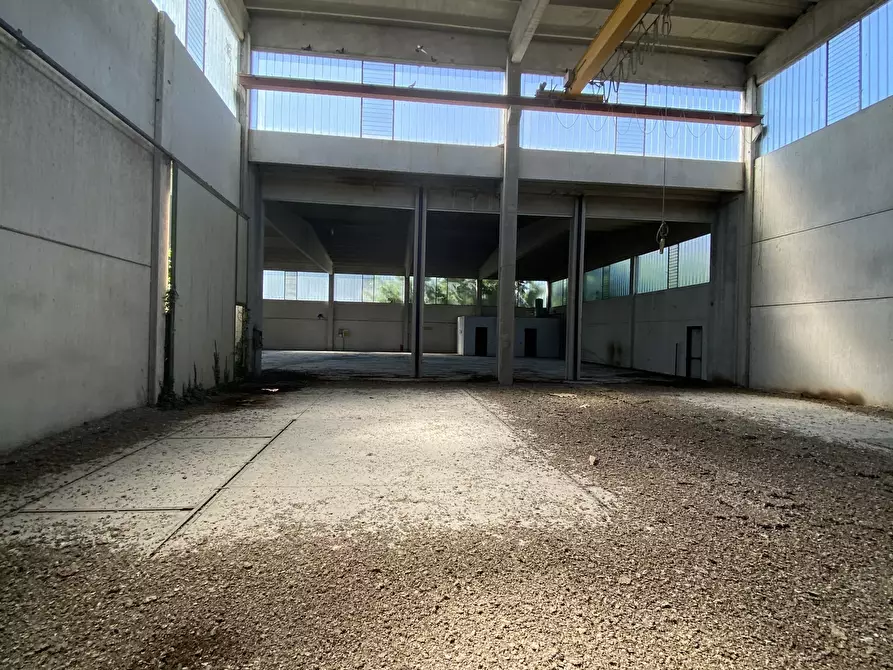 Immagine 12 di Capannone industriale in vendita  in VIA BRODOLINI 5 a Casalpusterlengo