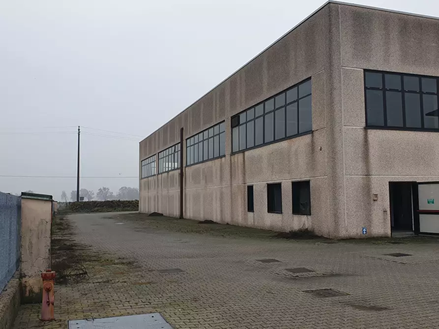 Immagine 5 di Capannone industriale in vendita  in SP193 2 a Maleo