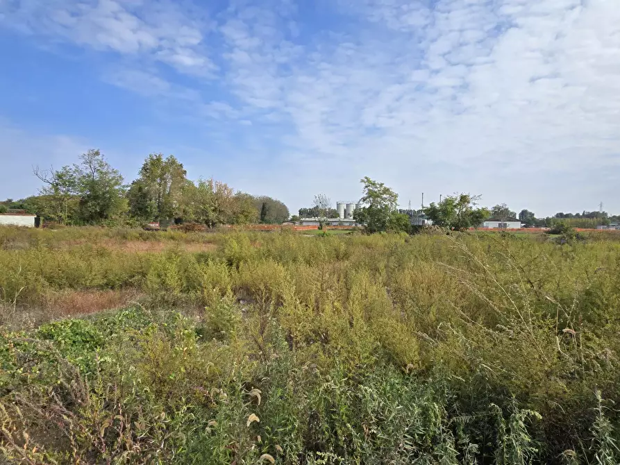 Immagine 6 di Terreno industriale in vendita  in via Toscana a Cornegliano Laudense