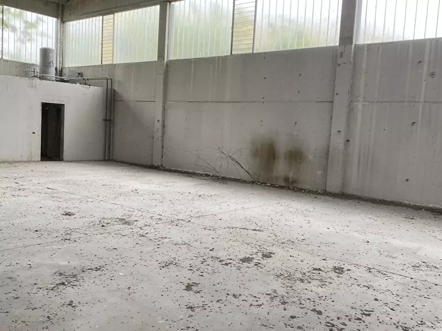 Immagine 20 di Capannone industriale in affitto  in VIA BRODOLINI 5 a Casalpusterlengo
